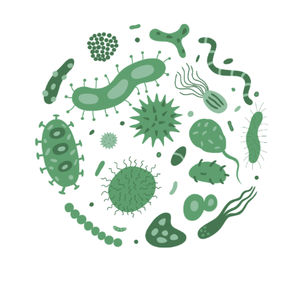 ilustracion de un virus