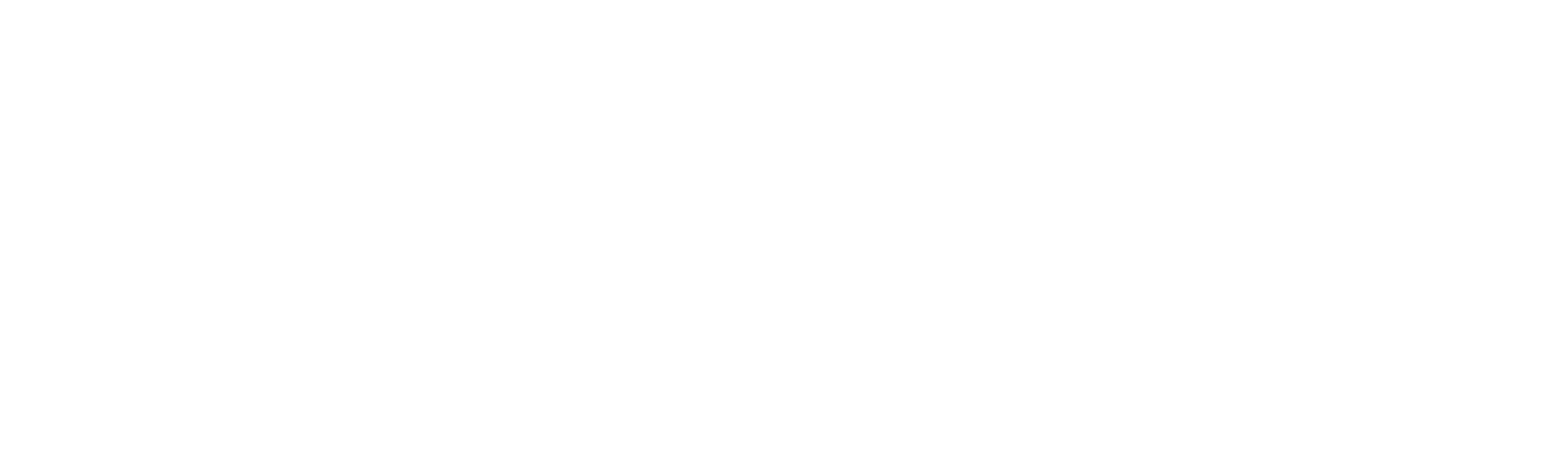 Logo de Diinsel