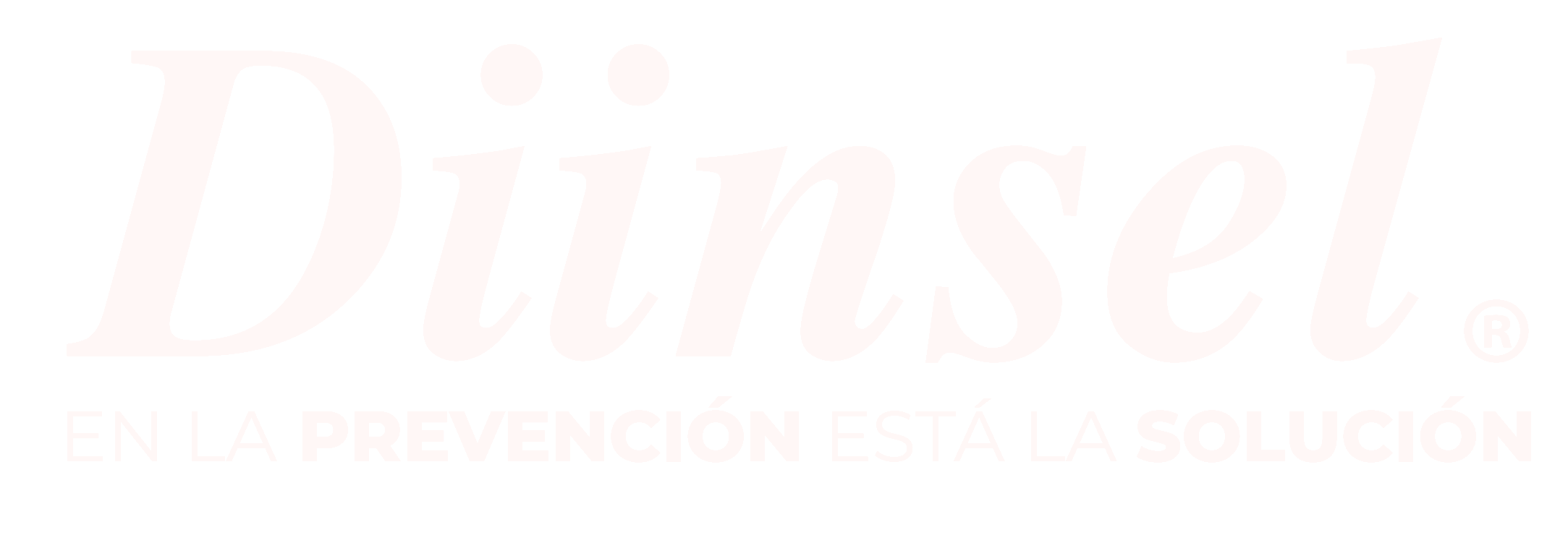 Diinsel Logo
